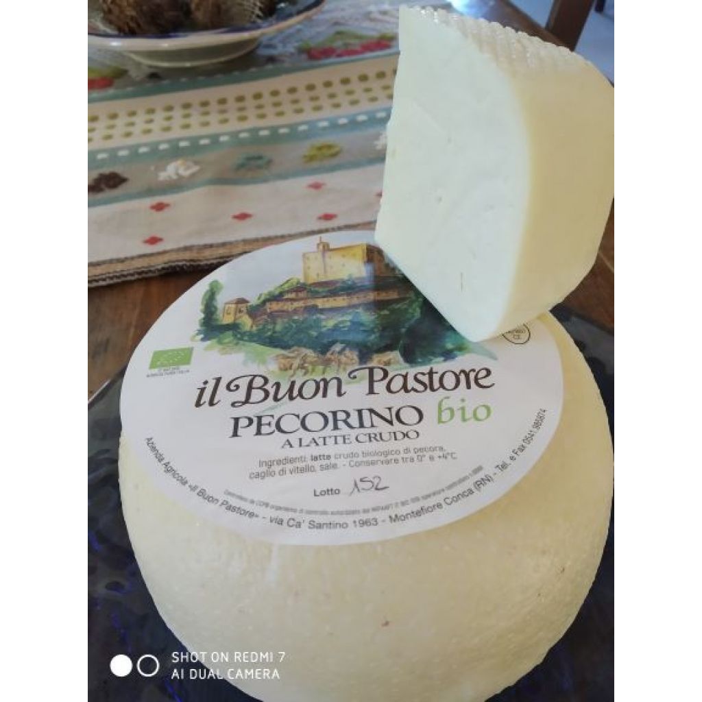 Pecorino fresco - MEZZA FORMA