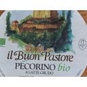 Il Buon Pastore
