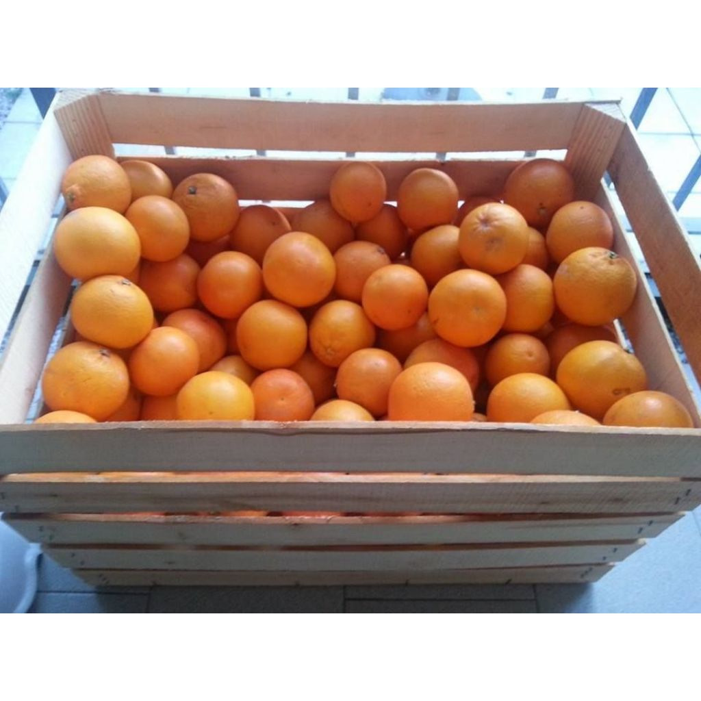 Tarocco calibro piccolo