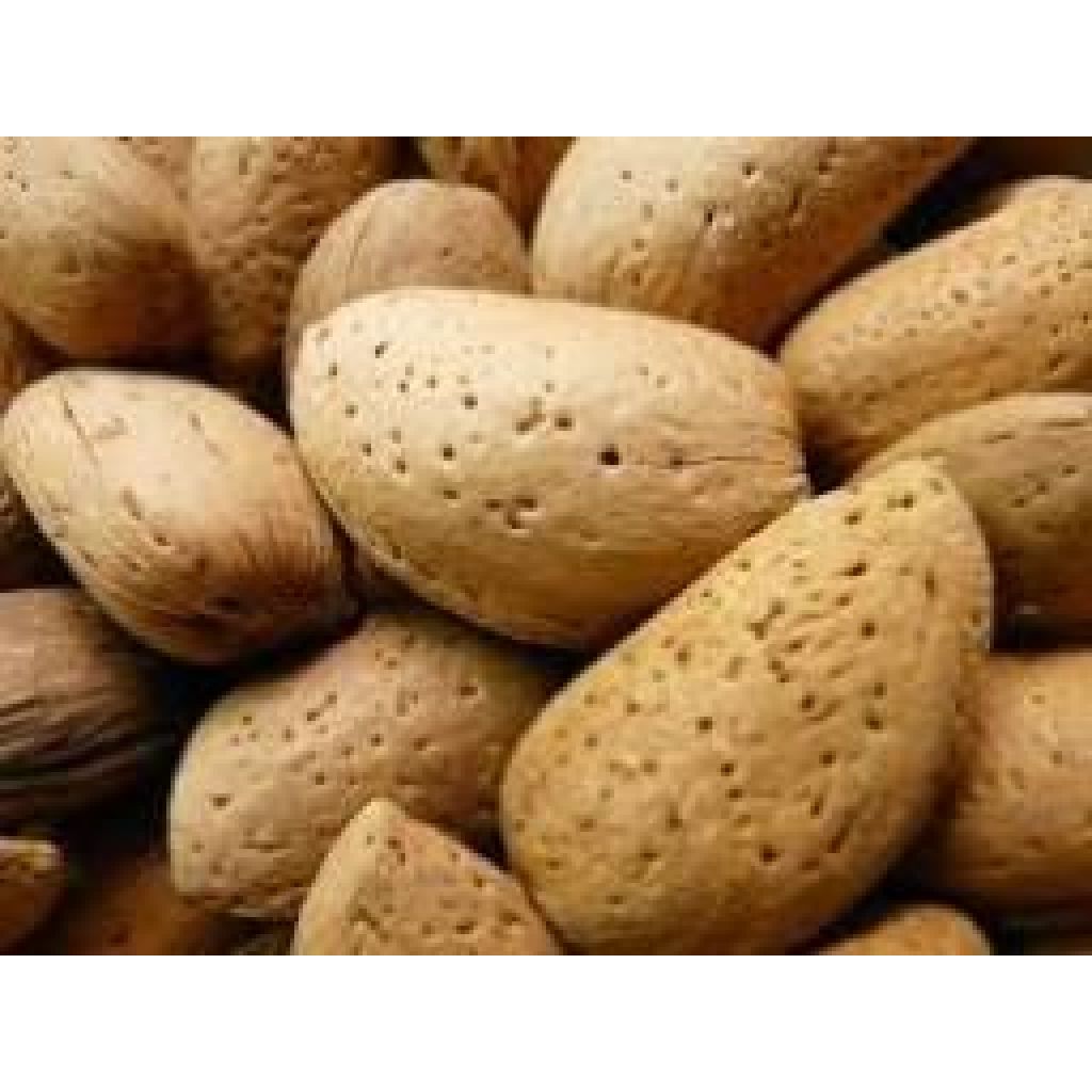 MANDRORLE CON GUSCIO sacchetto da 300 g