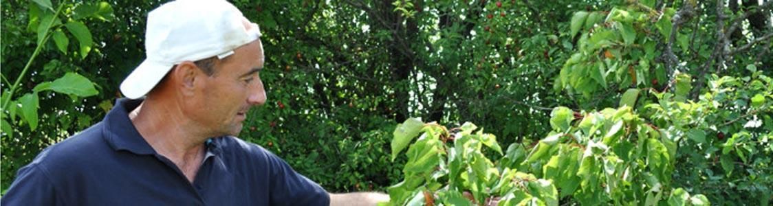 Fondo Rurale Pontino