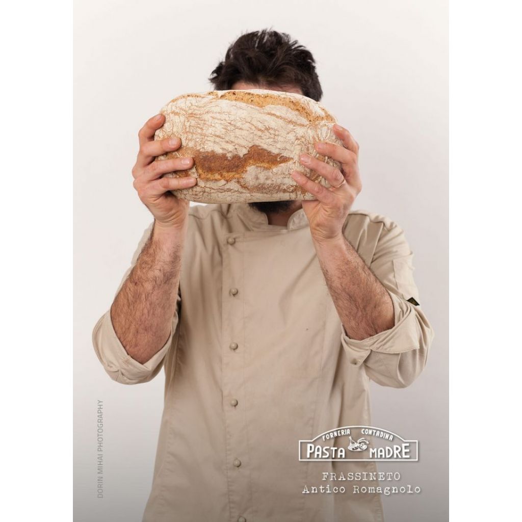 Whole wheat bread tender red antique fair