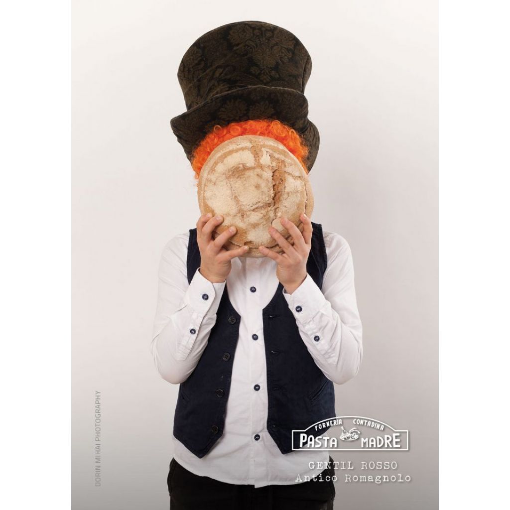 SPELT WHEAT BREAD AND RED BROKEN GENTIL