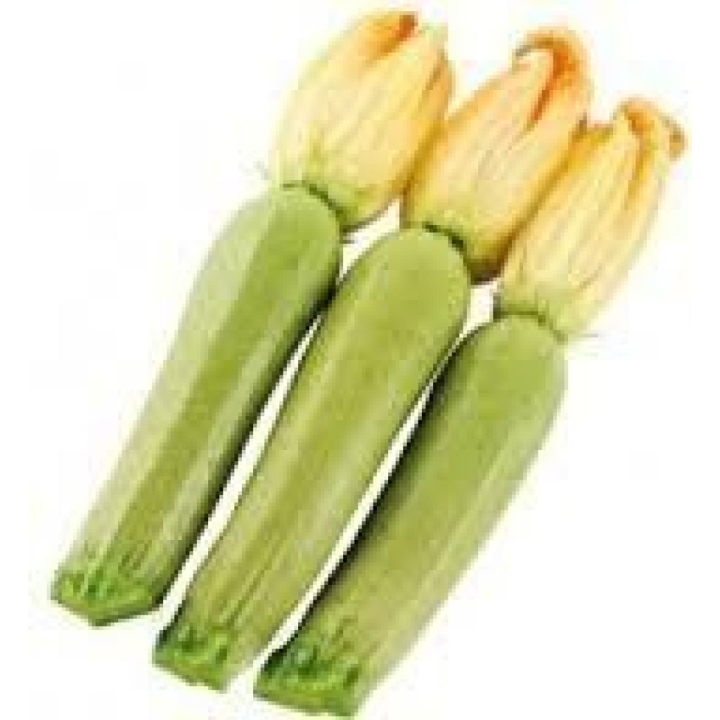 ZUCCHINI con fiore