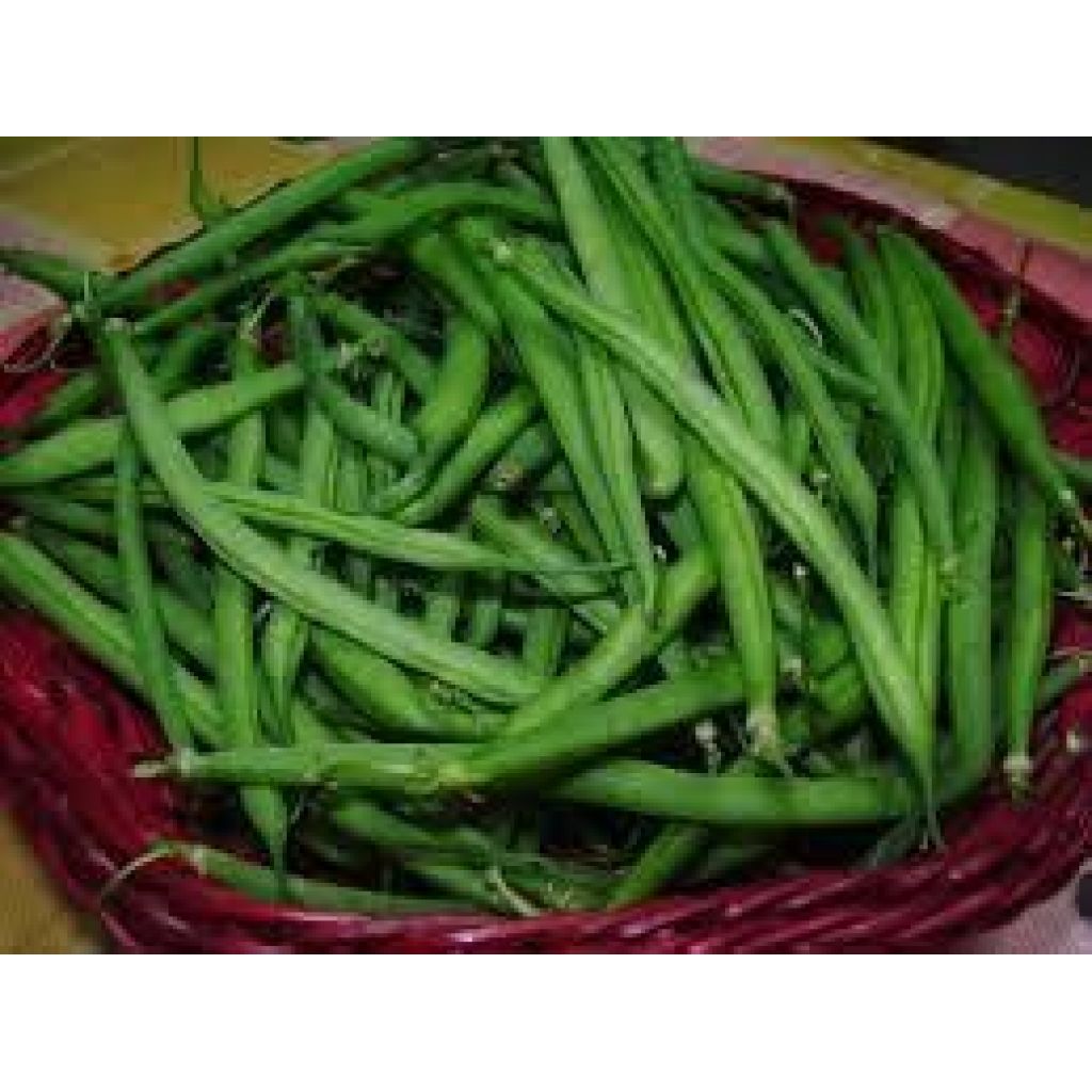Fagiolini mezzo chilo