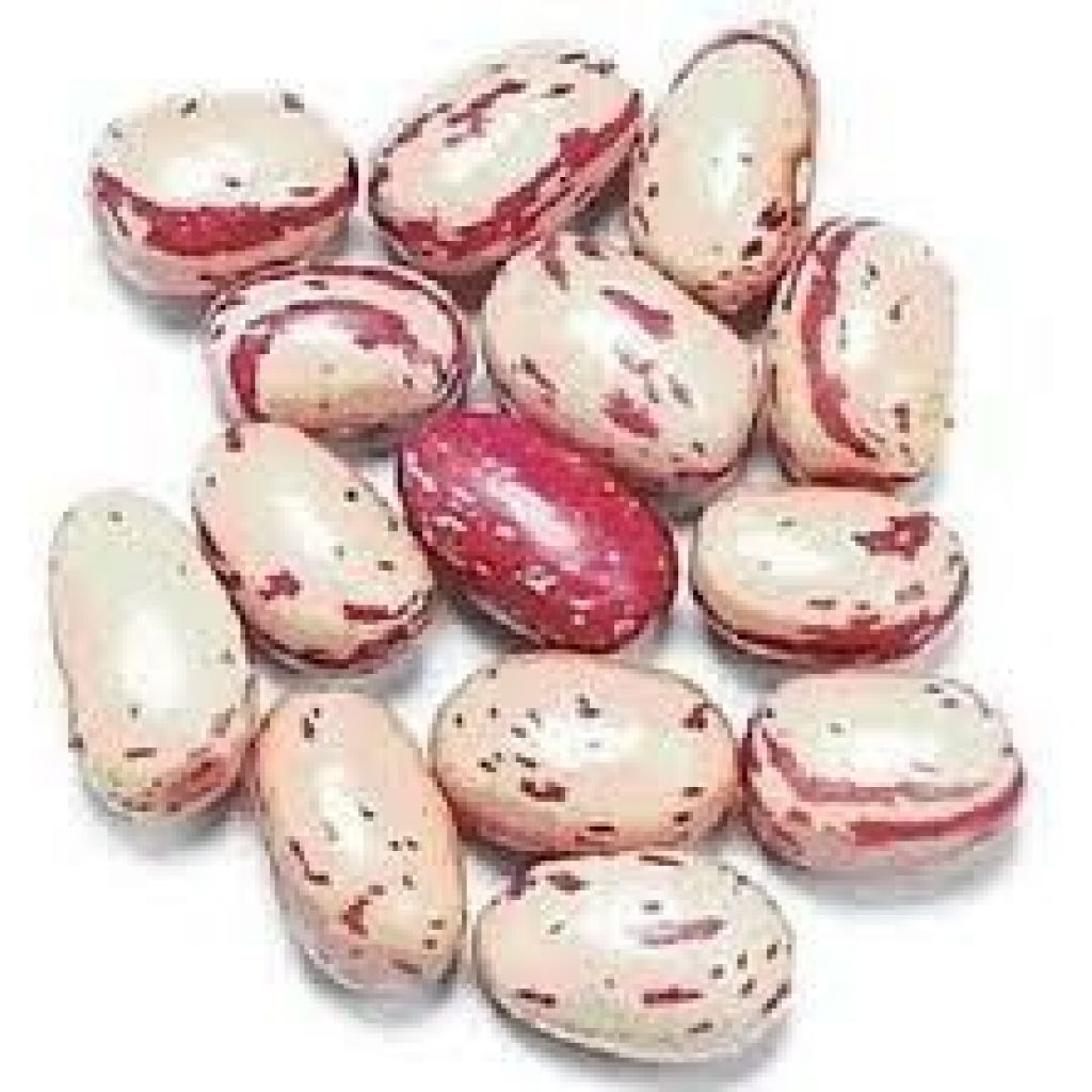 Fagiolo borlotto secco 300 gr