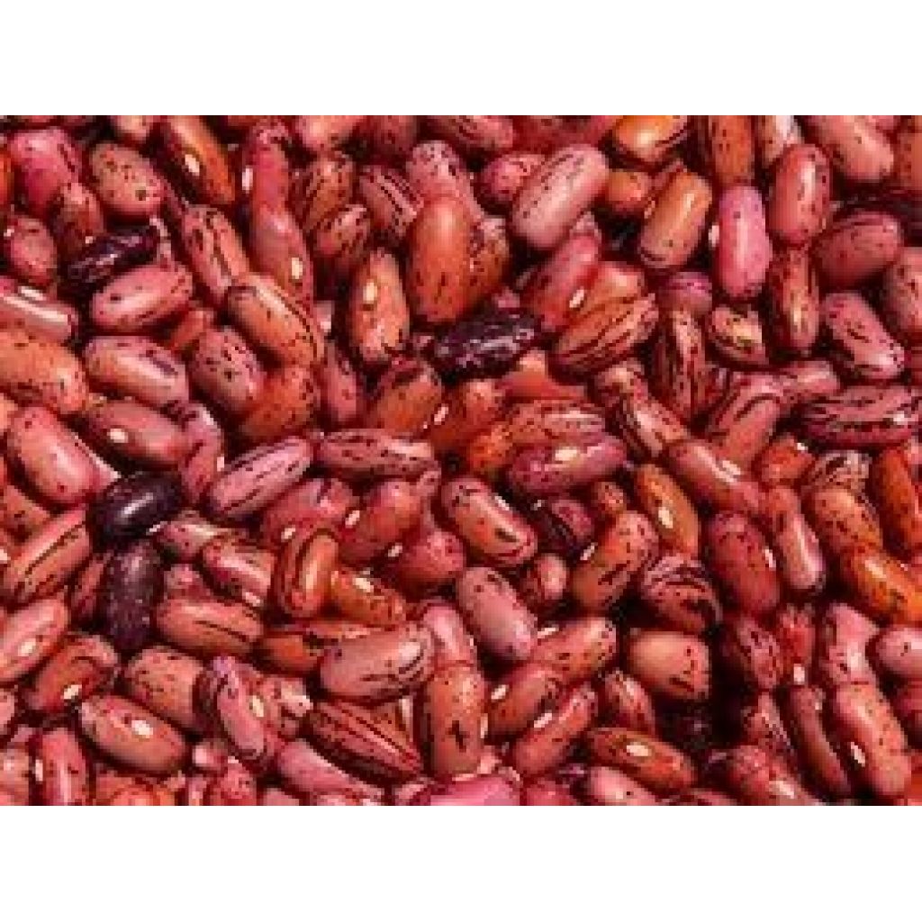 Fagiolo rosso lucchese secco 300gr