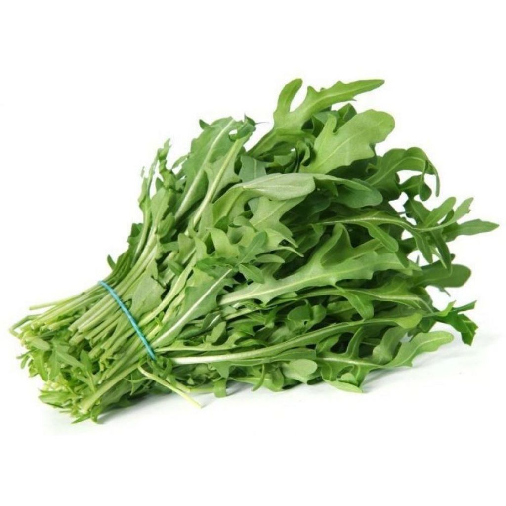 Rucola