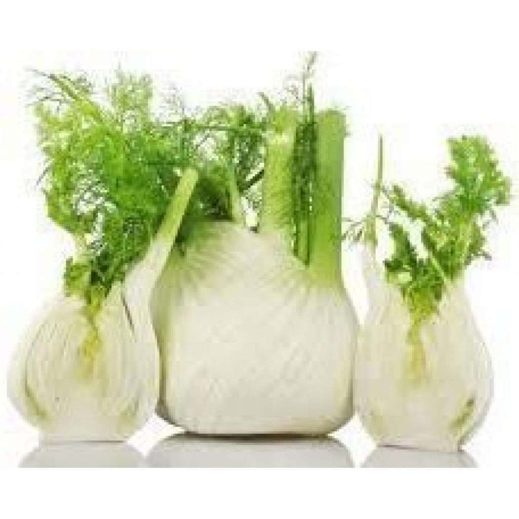 OFFERTA Finocchi 2Kg