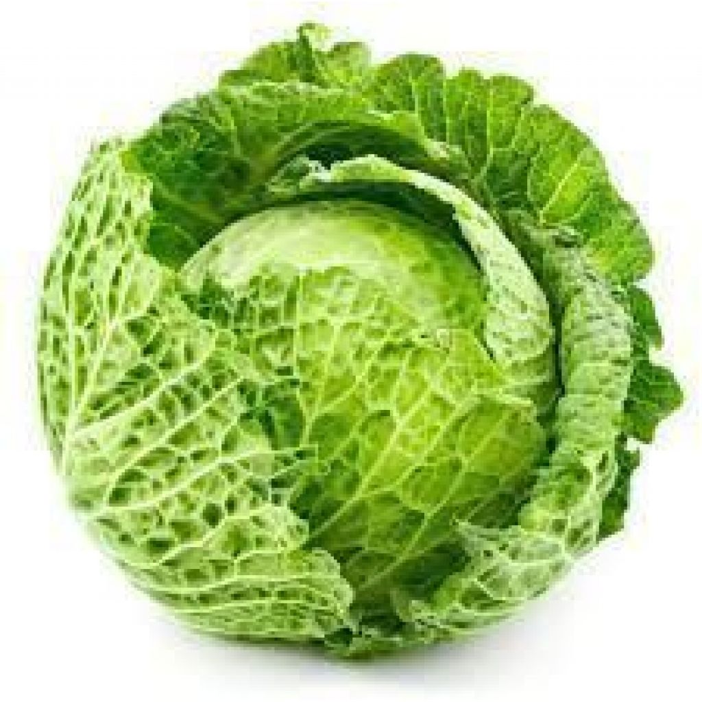 Cavolo verza