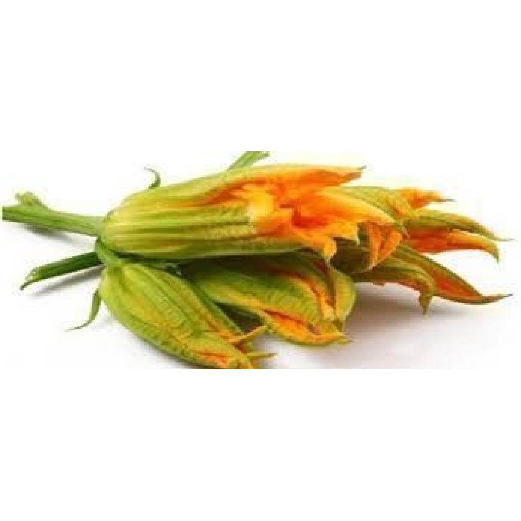 Fiori di zucca