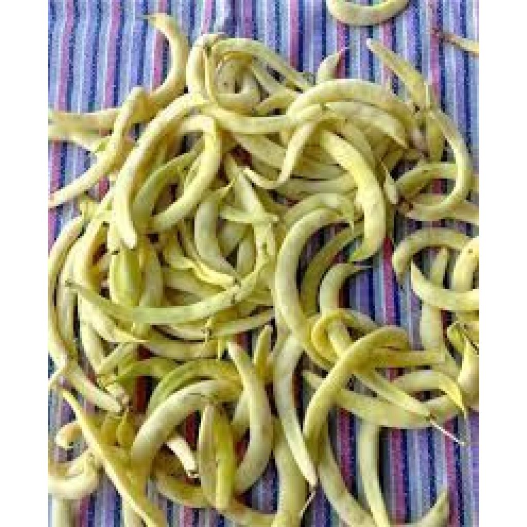 Fagiolo stortino di Lucca 500 gr