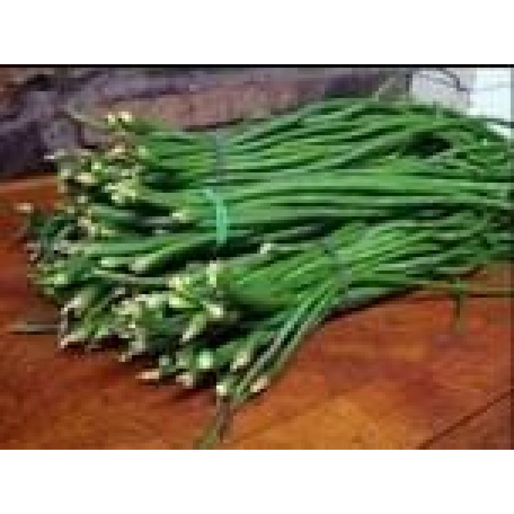 Fagiolo a stringa lucchese 300 gr