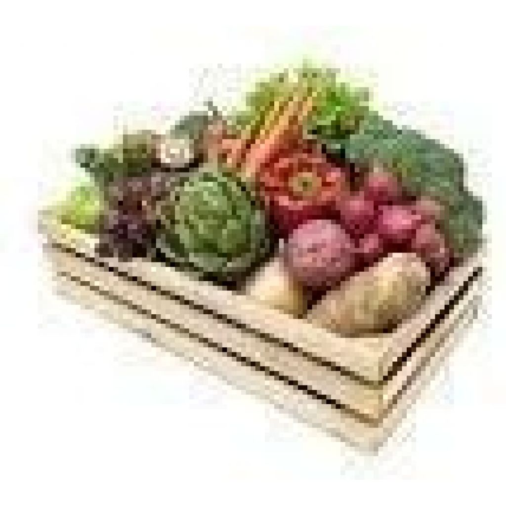 Cassetta piccola 4 Kg