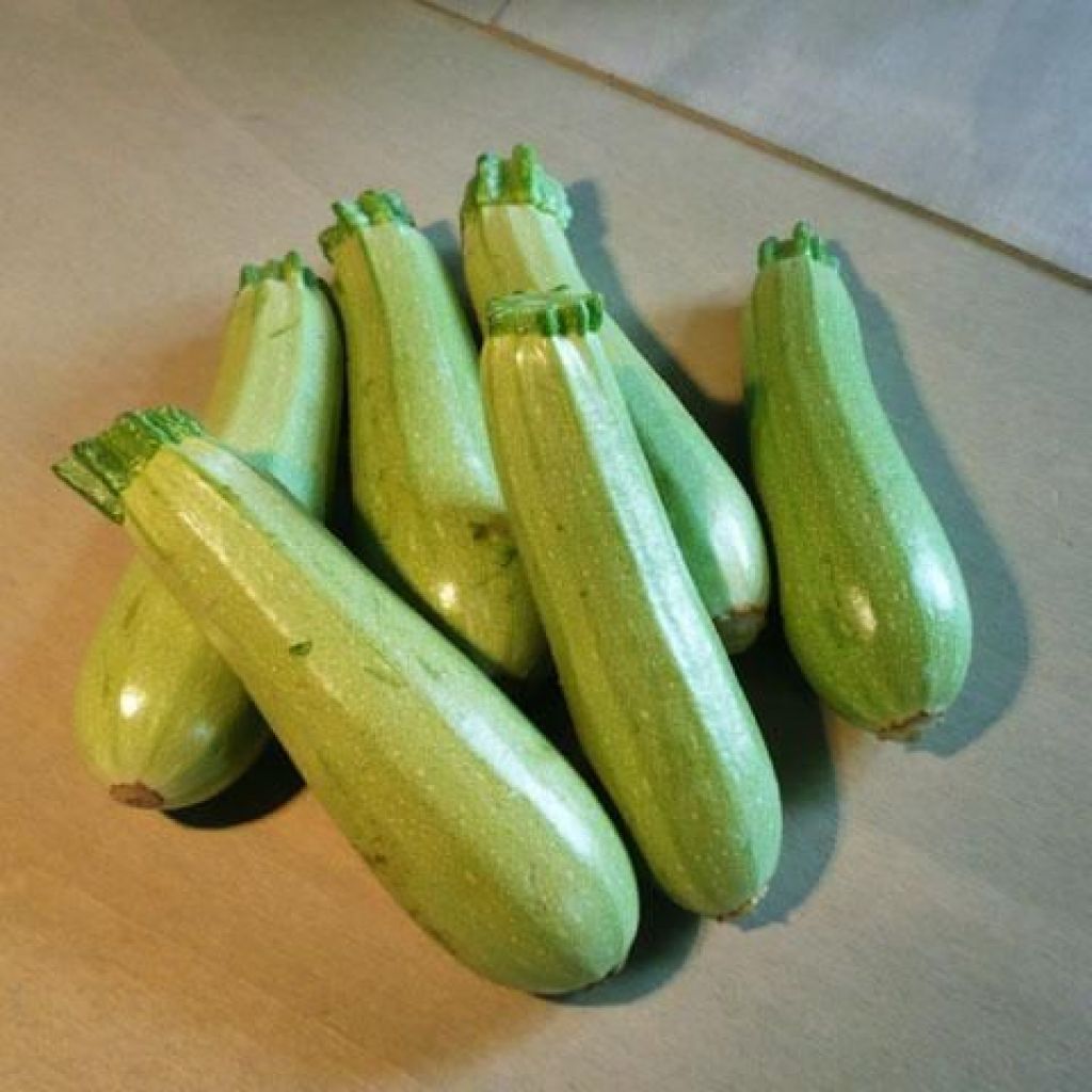 ZUCCHINE CHIARE