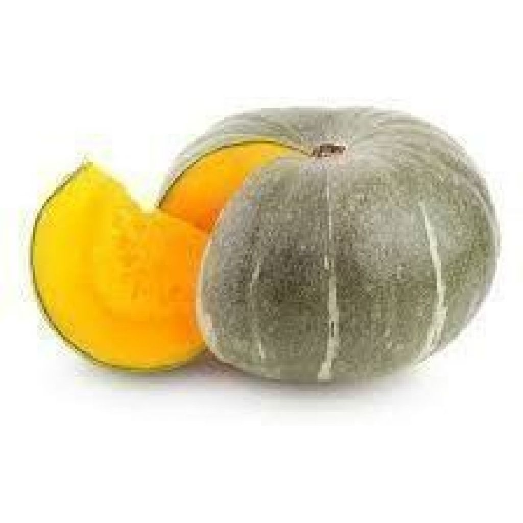 ZUCCA DELICA TONDA