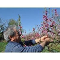 iobio conf_sessuale peschi2