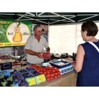 pezzetti 14_07_18 e 20 13