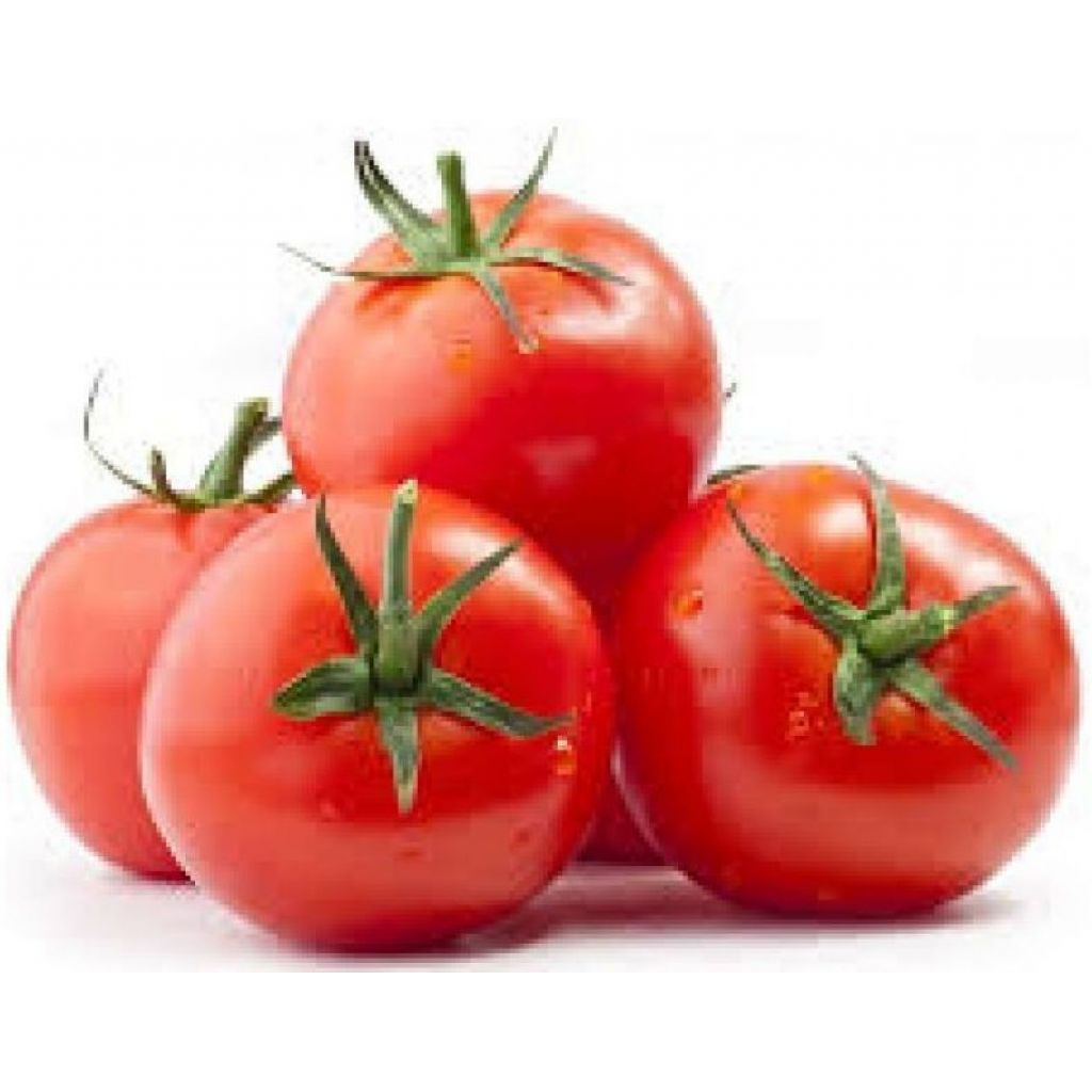 POMODORO TONDO ROSSO