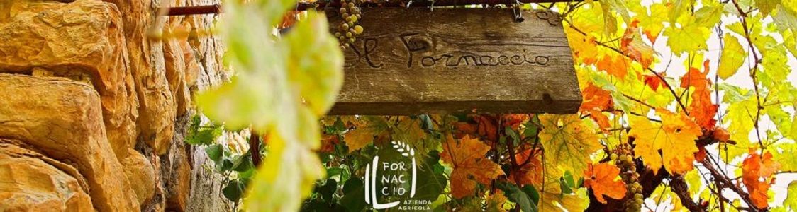 Azienda agricola IL FORNACCIO