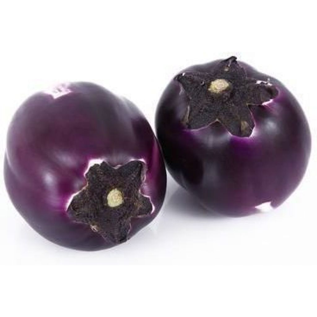 Melanzana Violetta