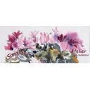 Prodotti Fitocosmetici Dott. Vannucci