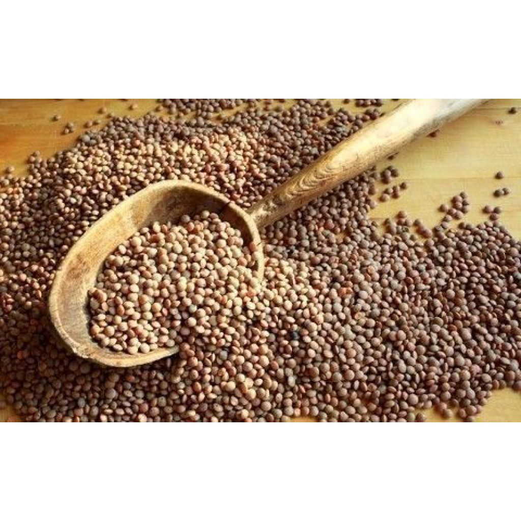 Lentils nostrali small [5 Kg.]