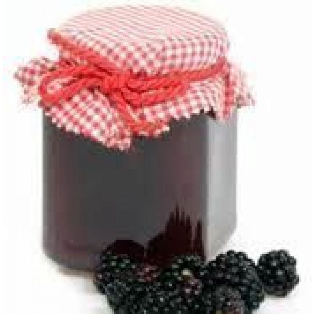 Conserva di More di Rovo Selvatiche [gr. 100]