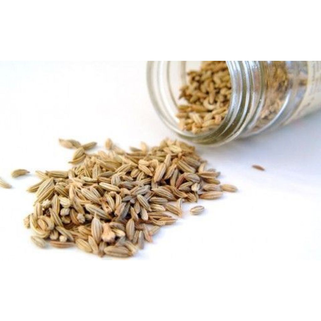 Fennel seeds [40 g.]