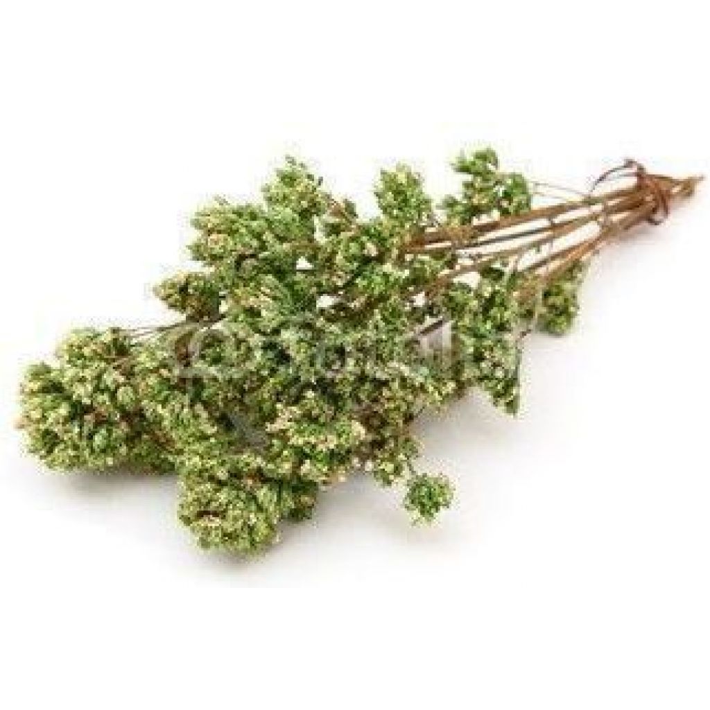 Oregano [30 g.]