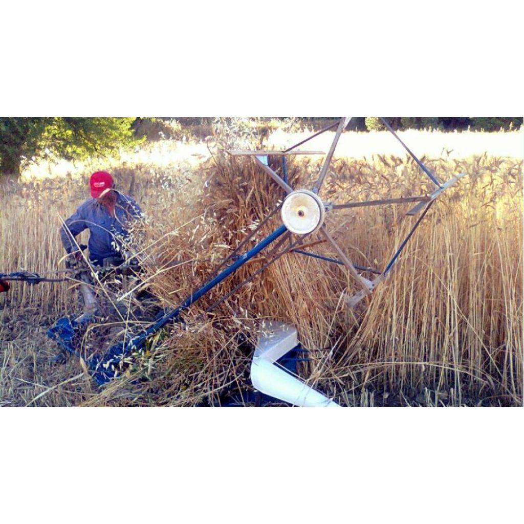 Rigatoni di grano duro Senatore Cappelli 500g