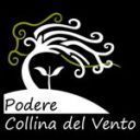 Azienda Agricola Podere Collina del Vento