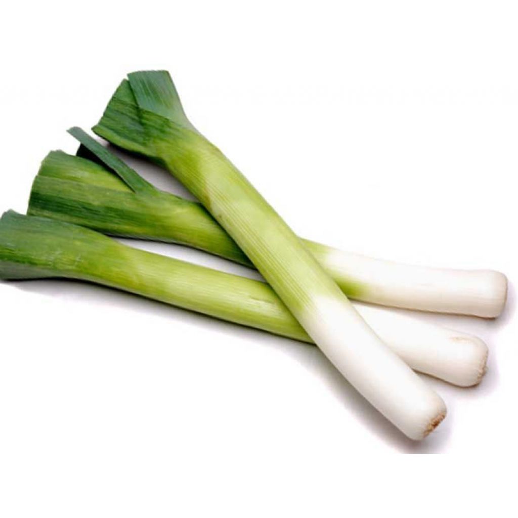 Porri - mazzi da 2 Kg