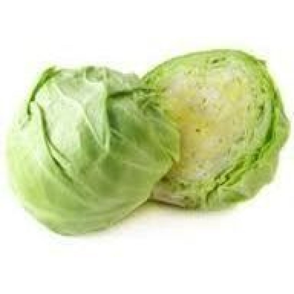 Cavolo cappuccio tondo - cassettina 4 pz