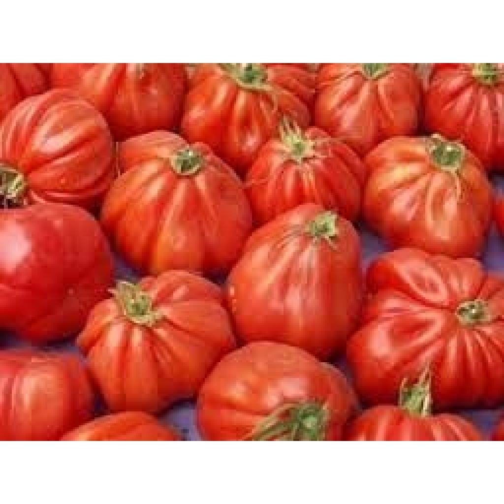 Cestino Pomodori Cuore di Bue (1 KG)