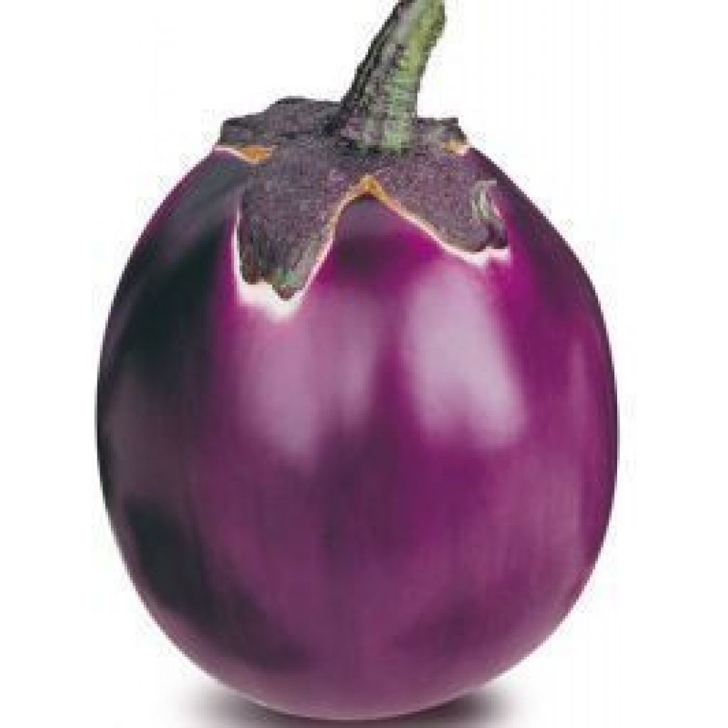 Cestino Melanzana Viola grande