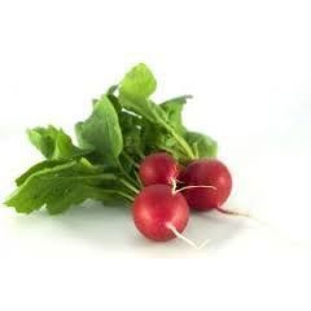 Mazzetto Rapanelli Rossi