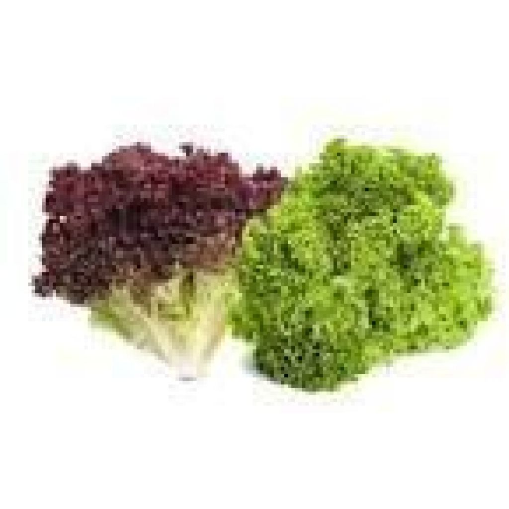 Cestino Insalata Lollo