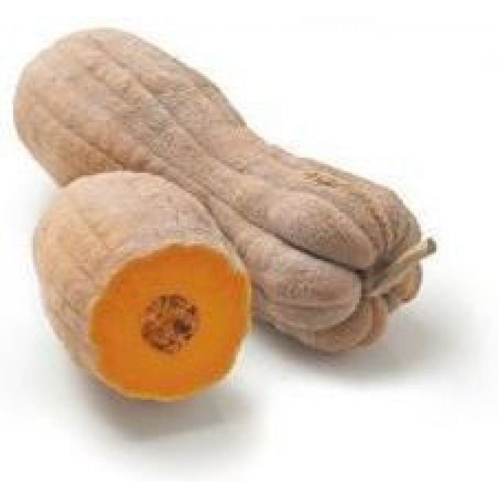 Zucca lunga napoletana