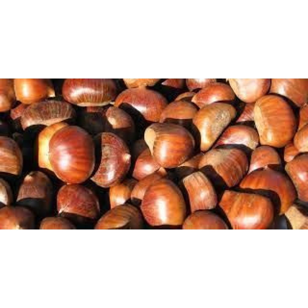 Cestino castagne (1 Kg)