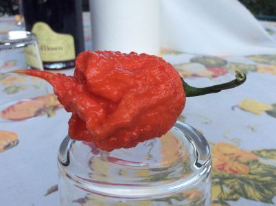 Societ&agrave; agricola Alba