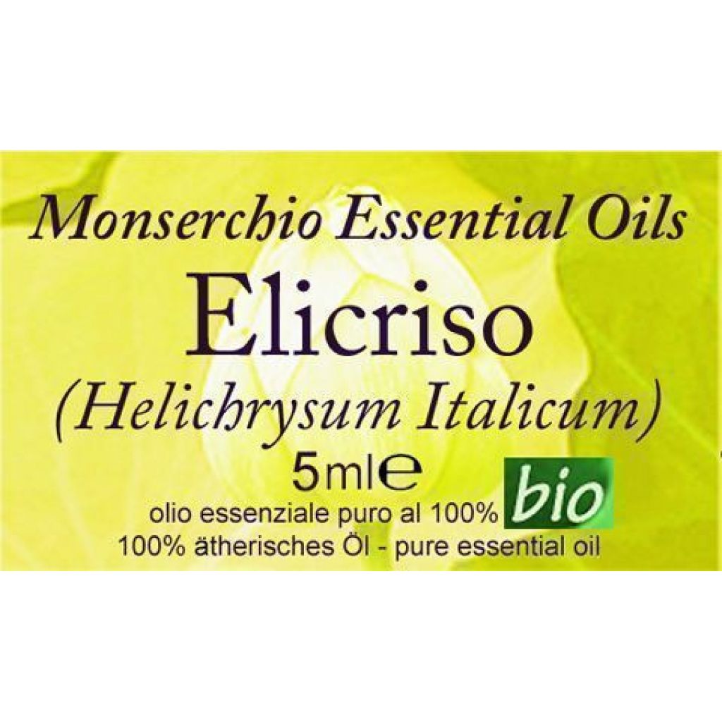 Everlasting - Helichrysum italicum