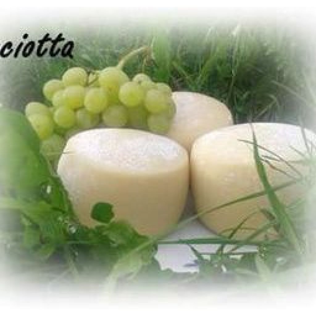 CACIOTTA ALLO YOGURT