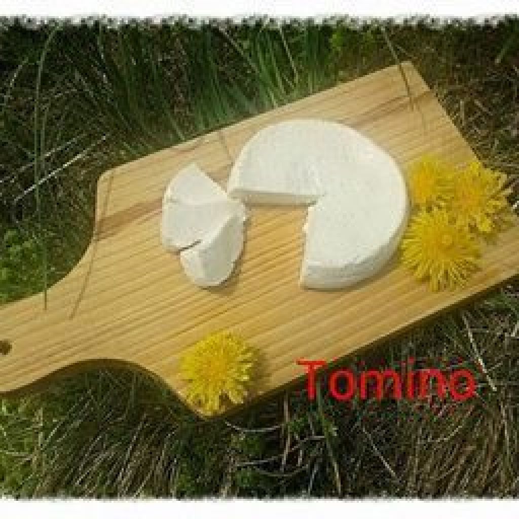 TOMINO BIO