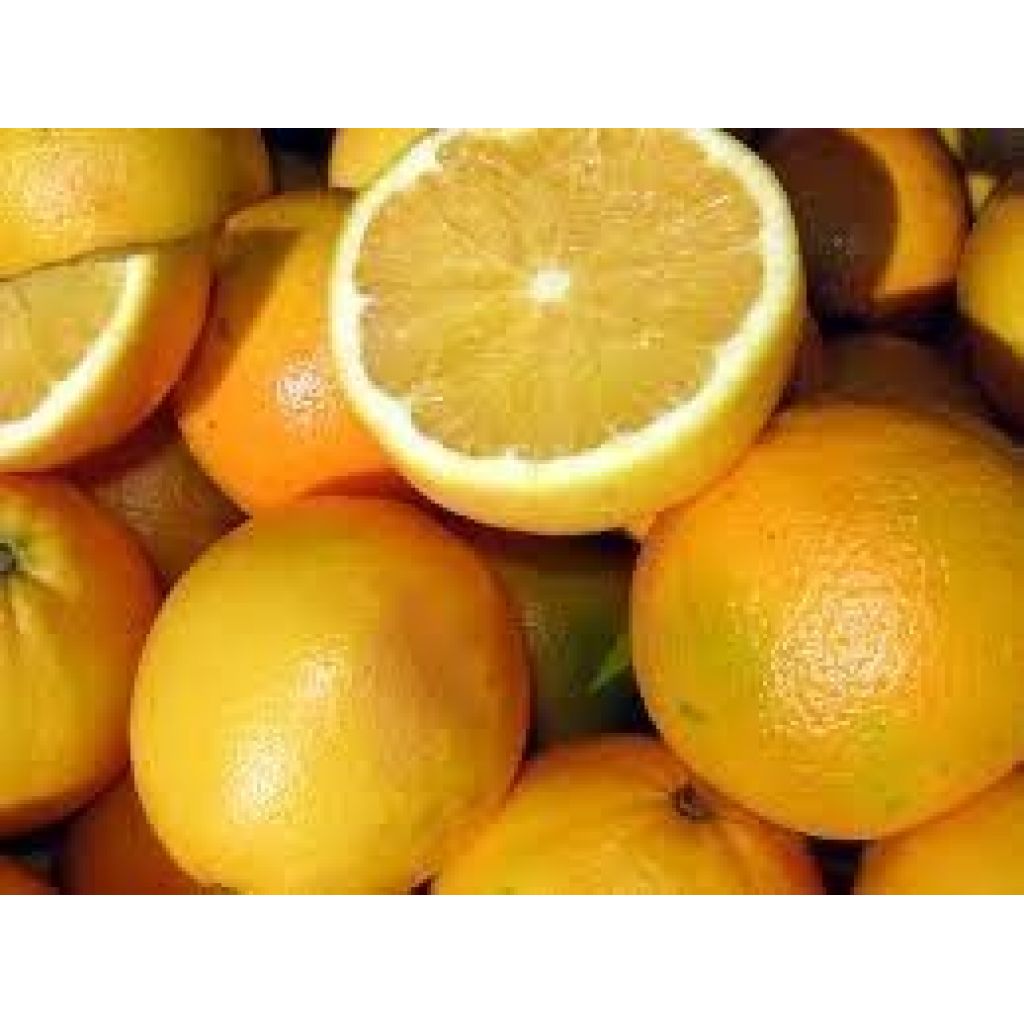 BOX 17 KG ORANGES RIBERA "Washinton NAVEL&quot