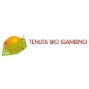 Tenuta Bio Gambino Azienda agricola