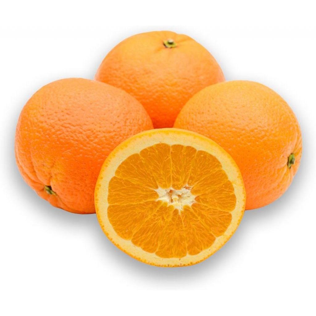 ARANCE BIONDE DA SPREMUTA BIOLOGICHE Cassa Kg 10