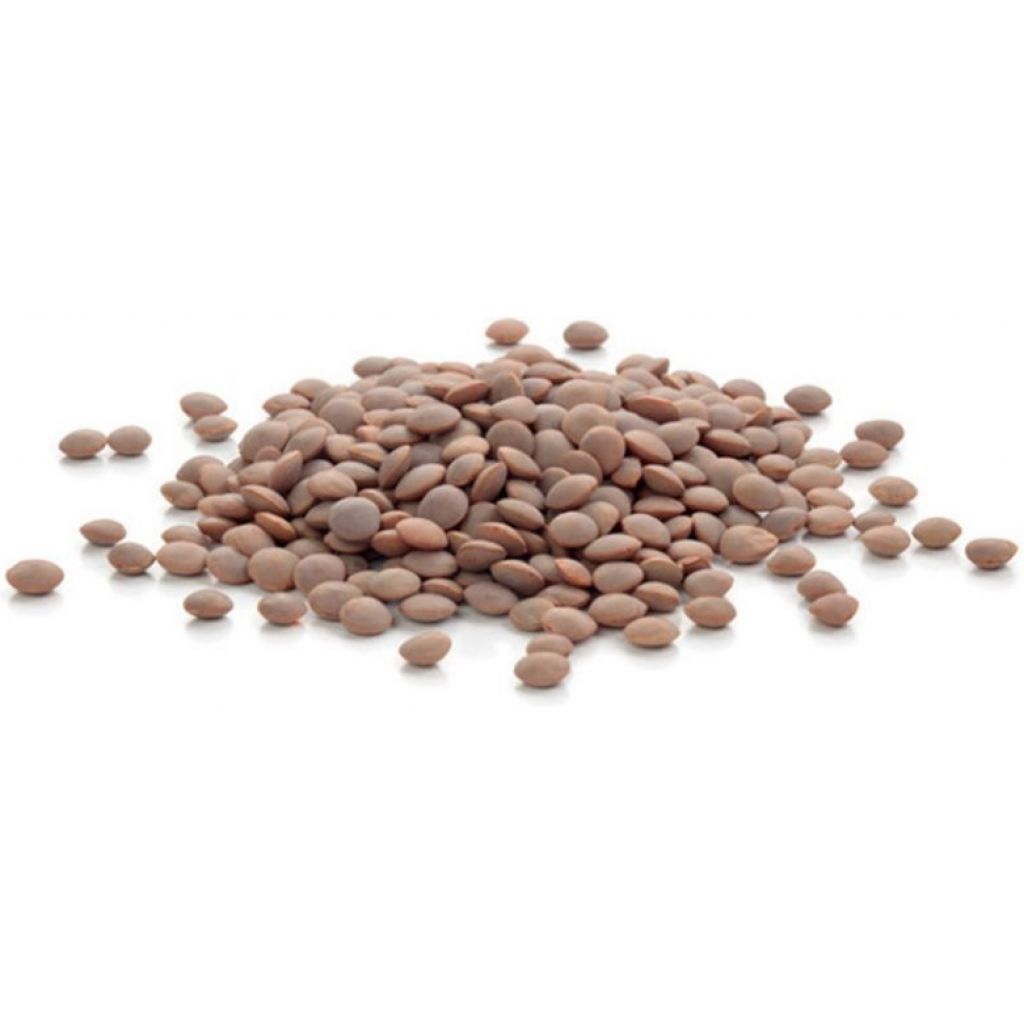 Lenticchie Mignon Biologiche Sacchi Kg 5