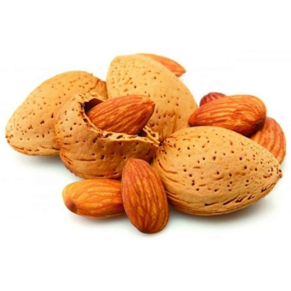 Mandorle con guscio BIOLOGICHE SICILIANE