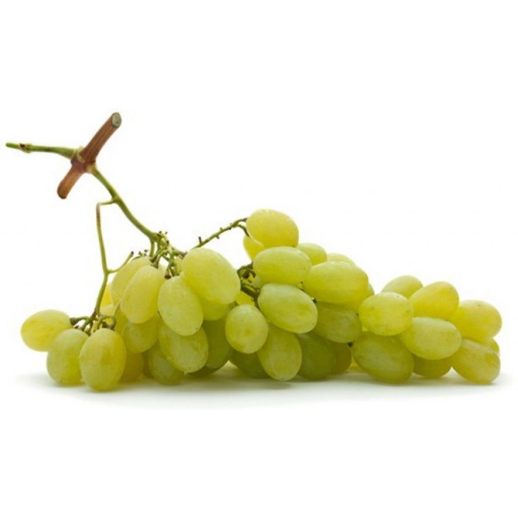 UVA DA TAVOLA BIANCA BIOLOGICA Cassa 6 Kg